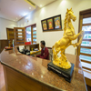 gallery-4