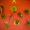 gallery-3